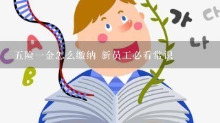 五险一金怎么缴纳 新员工必看常识