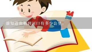 谁知道弥勒到河口有多少公里: