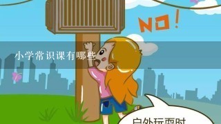 小学常识课有哪些