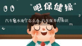 汽车被水淹了怎么办_汽车保养的知识