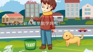 生活小常识在哪里能学到呢？