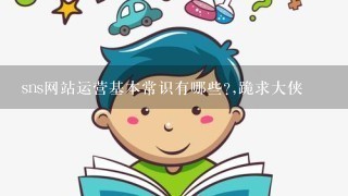 sns网站运营基本常识有哪些?,跪求大侠