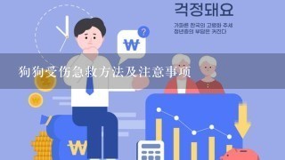 狗狗受伤急救方法及注意事项