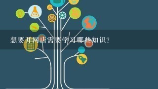 想要开网店需要学习哪些知识？