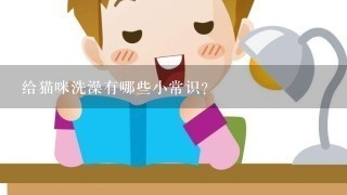 给猫咪洗澡有哪些小常识？