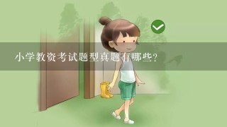 小学教资考试题型真题有哪些？