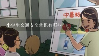 小学生交通安全常识有哪些