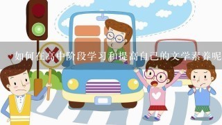 如何在高中阶段学习和提高自己的文学素养呢？