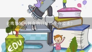 老鹰如何找到食物以维持生存需求？