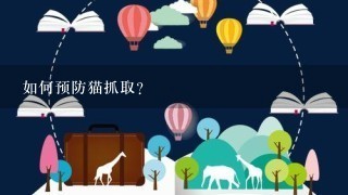 如何预防猫抓取?